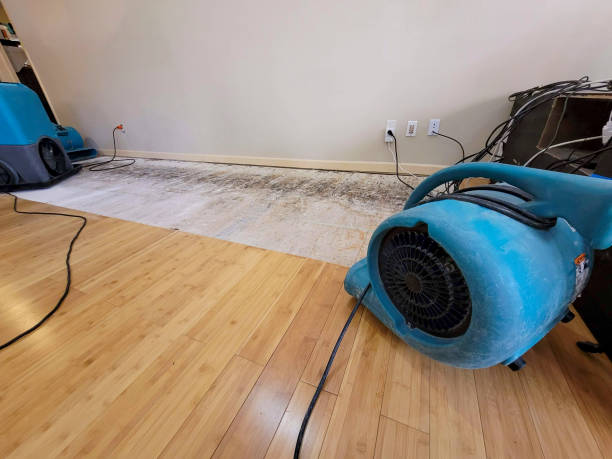 Professional Water Damage Repair technician working in Charleston, AR